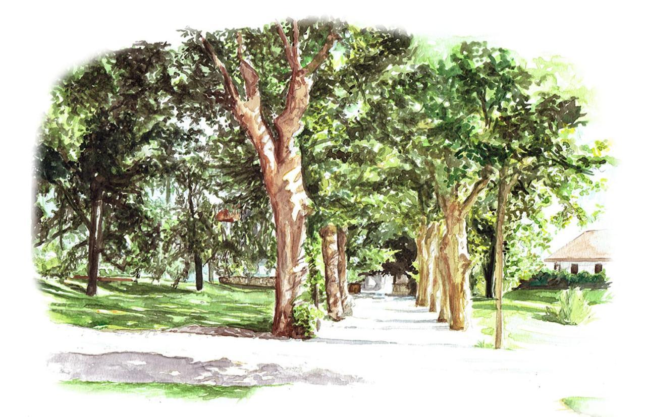 Chateau Brachet Gresy-sur-Aix Bagian luar foto